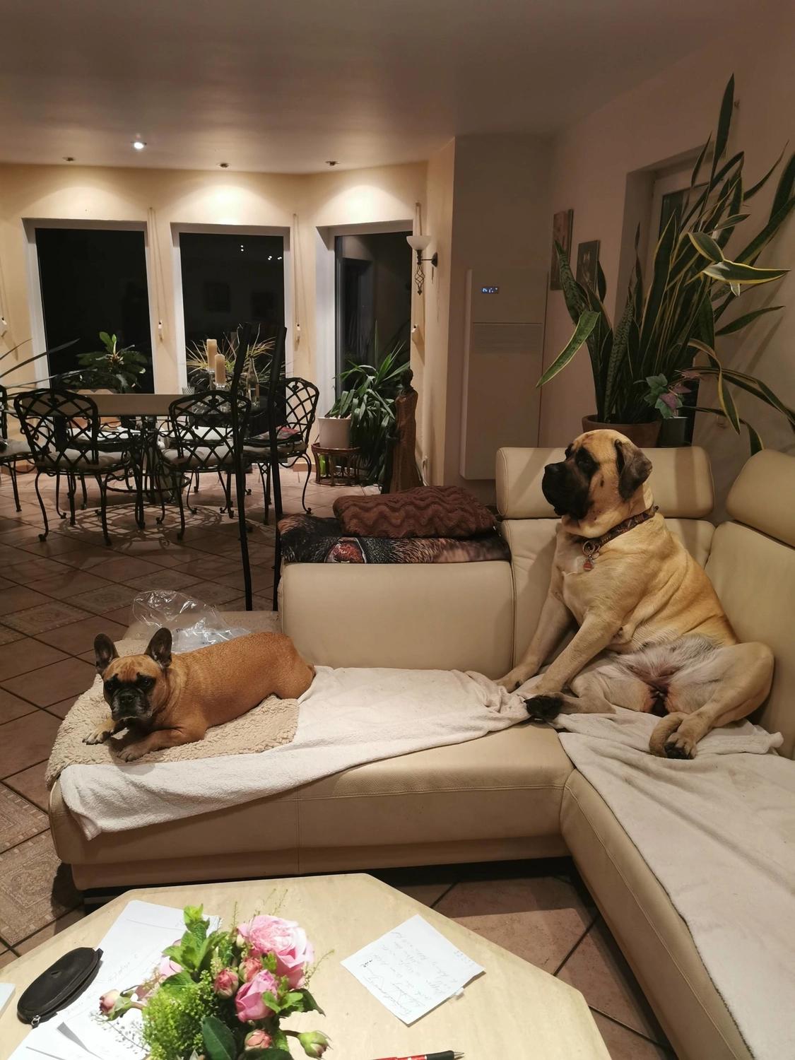 Service39 - Klimaanlagen - Alto 60m